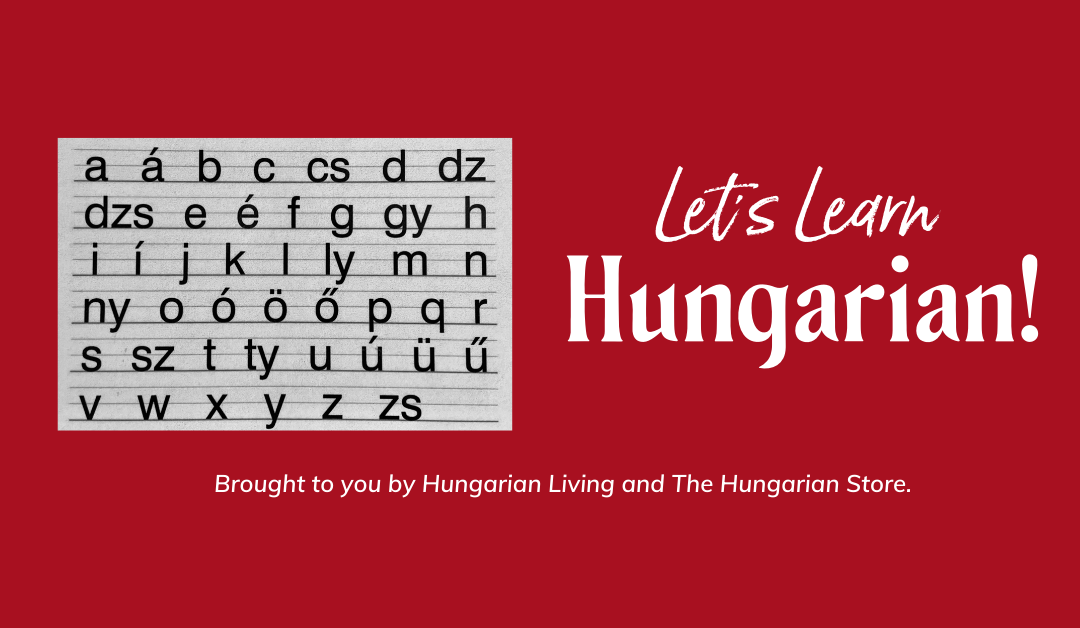 Hungarian Language Learning