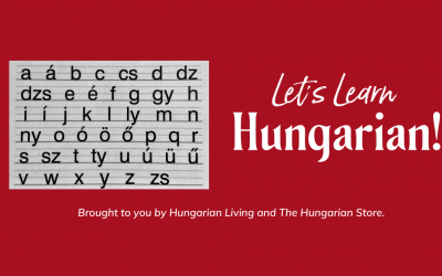 Hungarian Language Learning